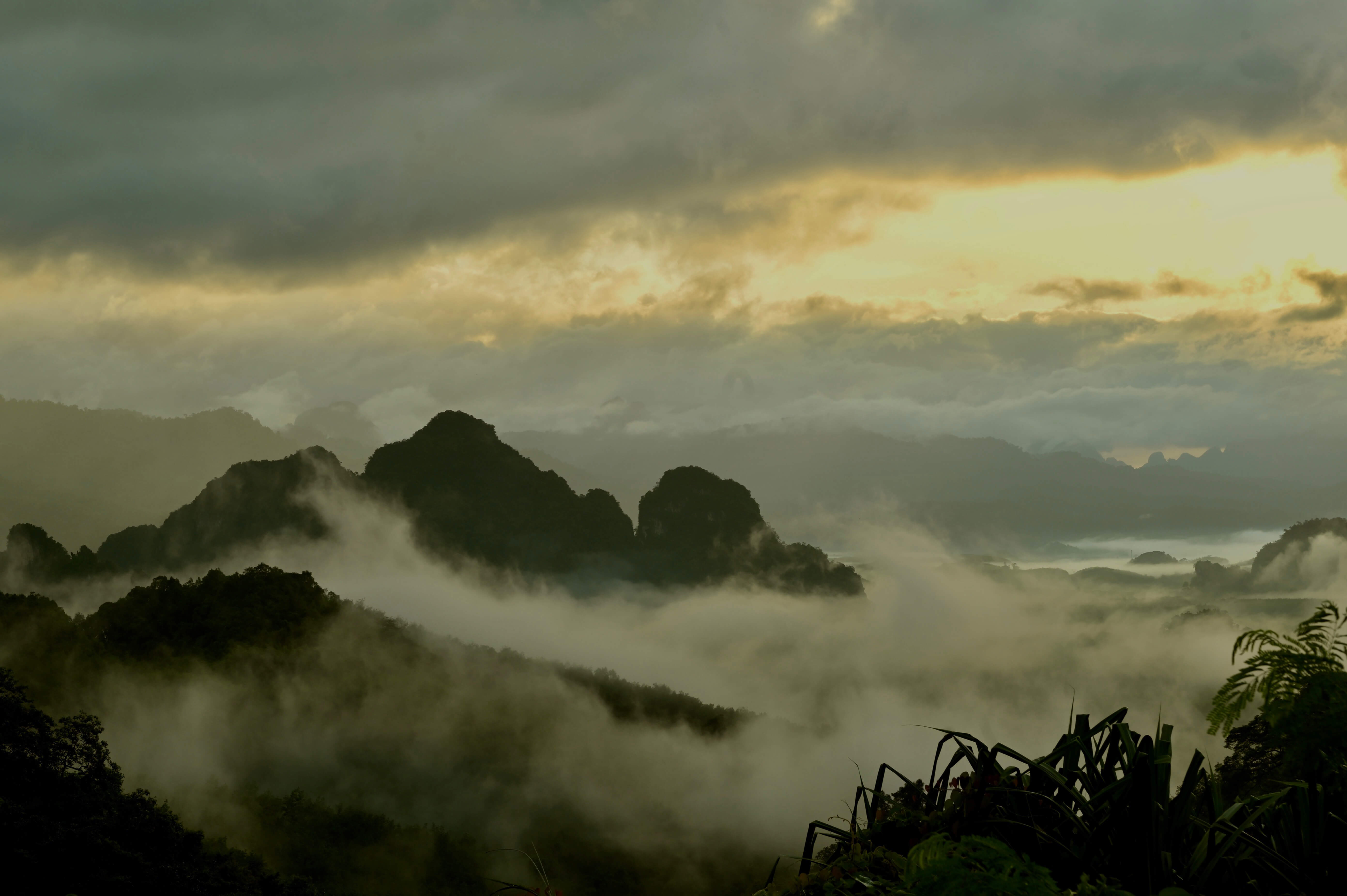 Khao Sok National Park
